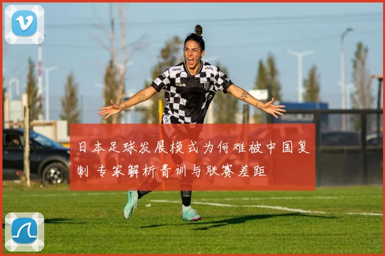 日本足球发展模式为何难被中国复制 专家解析青训与联赛差距