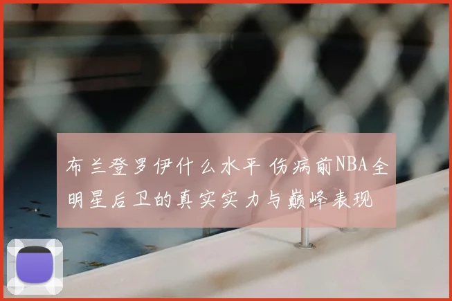布兰登罗伊什么水平 伤病前NBA全明星后卫的真实实力与巅峰表现
