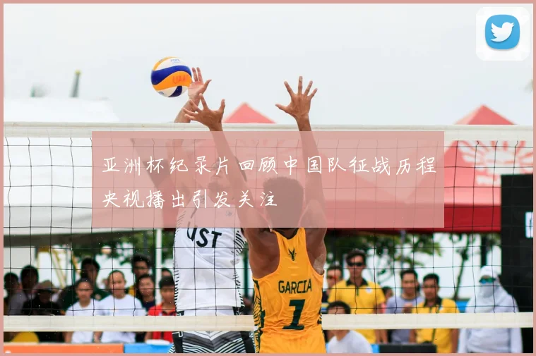 亚洲杯纪录片回顾中国队征战历程央视播出引发关注