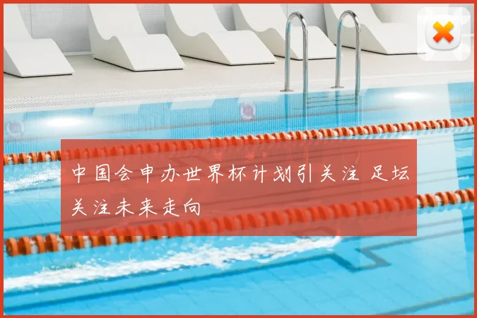 中国会申办世界杯计划引关注 足坛关注未来走向