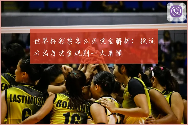 世界杯彩票怎么买奖金解析：投注方式与奖金规则一文看懂